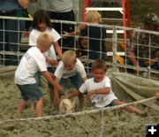 Brownie Locks & the Pigs. Photo by Dawn Ballou, Pinedale Online.