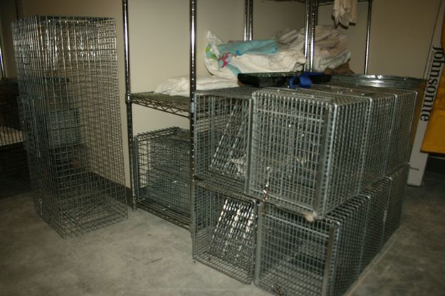 Animal Traps. Photo by Dawn Ballou, Pinedale Online.