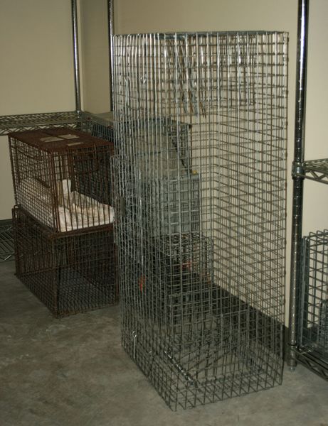 Bird Cage Trap. Photo by Dawn Ballou, Pinedale Online.