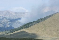 Little Brown Fire. Photo by Trey Wilkinson, Sublette Examiner.