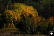 Colors. Photo by Pam McCulloch, Pinedale Online.