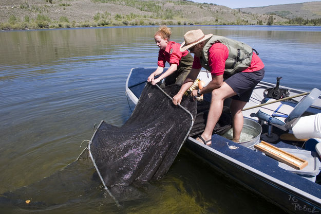 Setting trap nets. Photo by Mark Gocke.