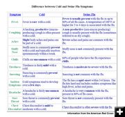 Flu Symptom comparison. Photo by Pinedale Online.