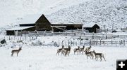 Snowbound, southbound. Photo by Joy Ufford, Sublette Examiner.