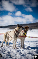 Ready to go. Photo by Octavian Dumitrescu, Pinedale Legacy Photography.