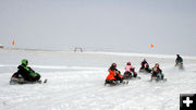 Follow the leader. Photo by Dawn Ballou, Pinedale Online.