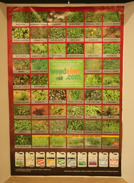 Weed Chart. Photo by Dawn Ballou, Pinedale Online.