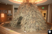 Sagebrush shelter. Photo by Dawn Ballou, Pinedale Online.