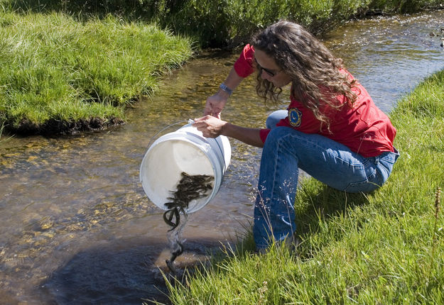 Hilda Sexauer. Photo by  Mark Gocke, Wyoming Game and Fish Department.