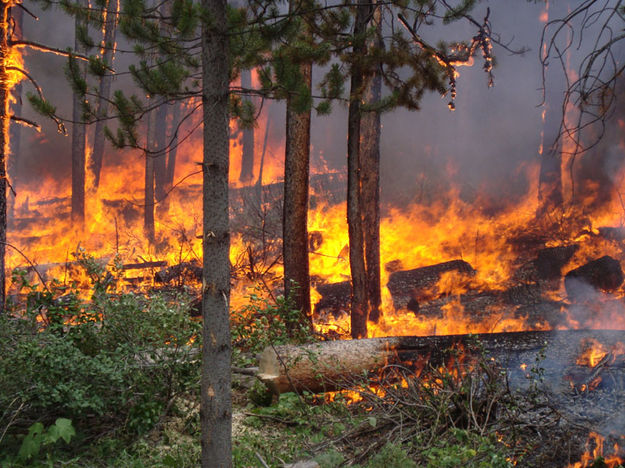 Wildfire. Photo by Sublette Fire.