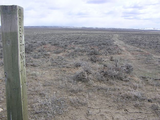 Marked road. Photo by Dawn Ballou, Pinedale Online.