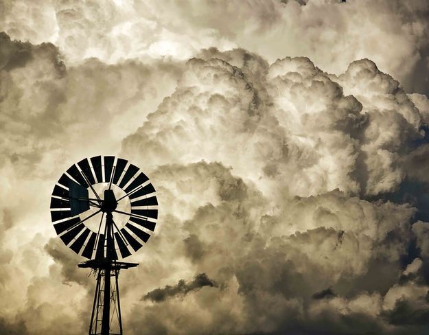 Windmill. Photo by Dave Bell.