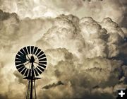 Windmill. Photo by Dave Bell.