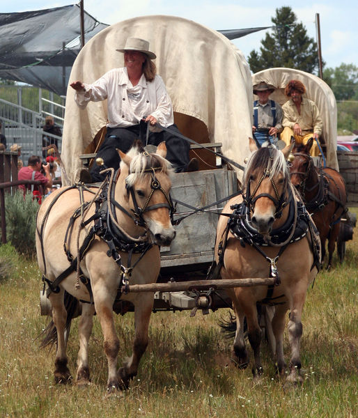 Fur Trade Wagon. Photo by Clint Gilchrist, Pinedale Online.