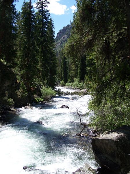 Fremont Creek. Photo by Scott Almdale.