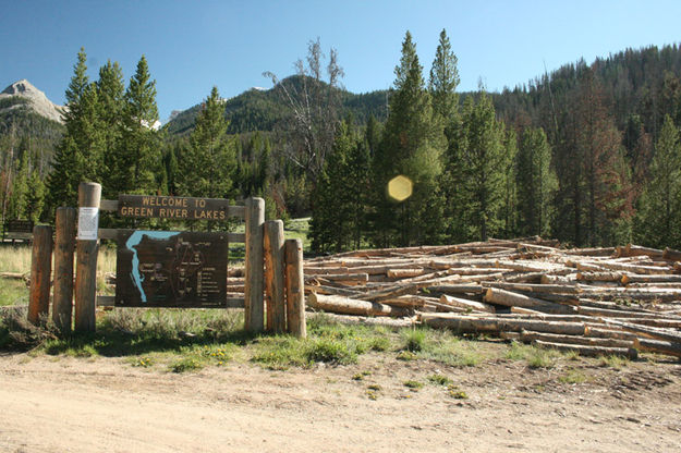 Free firewood. Photo by Dawn Ballou, Pinedale Online.