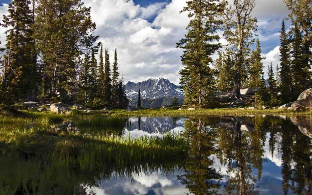 Photographer's Point. Photo by Dave Bell.