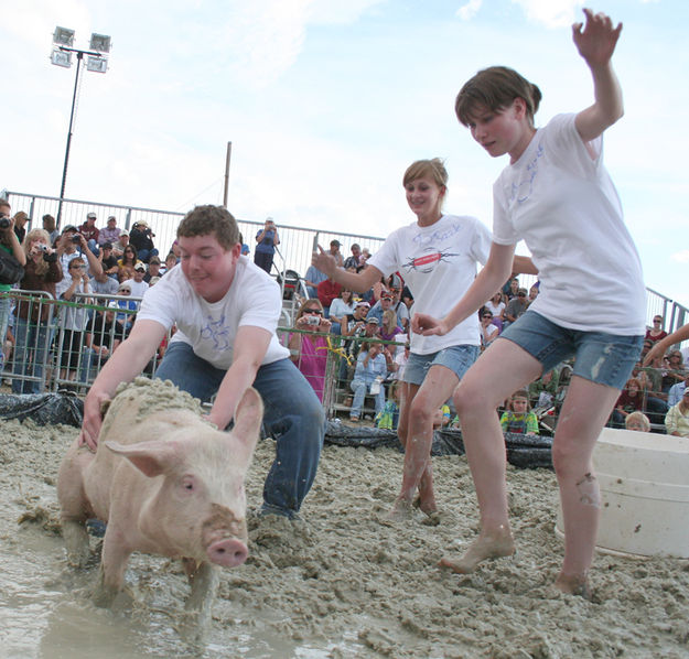 Bacon Sizzle. Photo by Pam McCulloch, Pinedale Online.