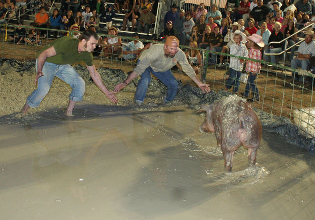 Easy Does It. Photo by Pam McCulloch, Pinedale Online.