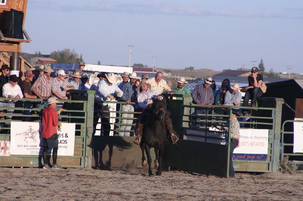 Pat Elam. Photo by Pam McCulloch, Pinedale Online.