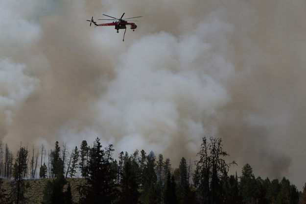 Helicopter. Photo by Paull Ellwood.