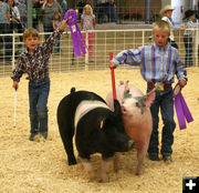 Pee Wee Showmanship. Photo by Pinedale Online.