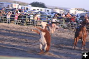 Roger Jones. Photo by Pam McCulloch, Pinedale Online.