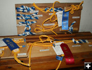 FFA Knots. Photo by Dawn Ballou, Pinedale Online.