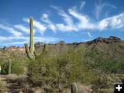 Winter in Arizona. Photo by Hank Ruland.