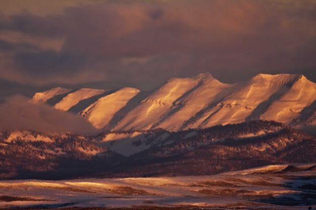 Sawtooths. Photo by Dave Bell.