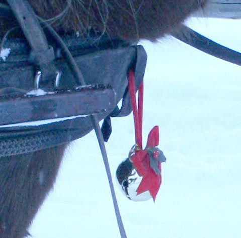 Front bell. Photo by Dawn Ballou, Pinedale Online.