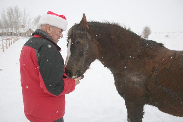 Reward. Photo by Dawn Ballou, Pinedale Online.