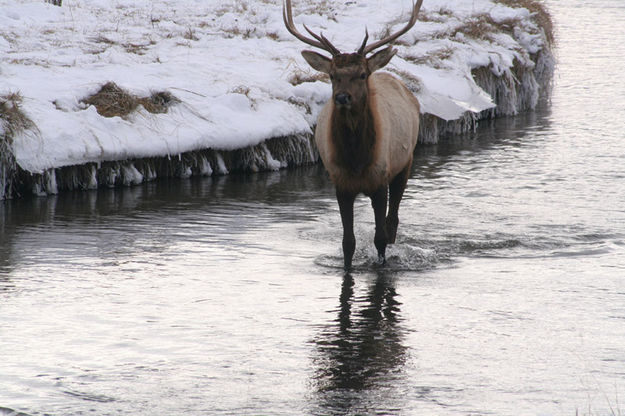 Cold not a problem. Photo by Sammie Moore.