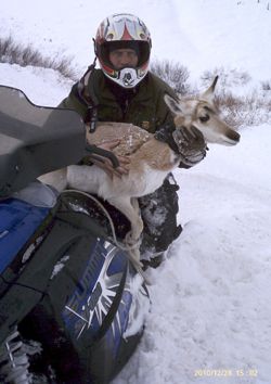 Free ride. Photo by Bubba Haley.