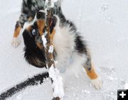 Playing on ice. Photo by Mari Muzzi, Sublette Examiner.