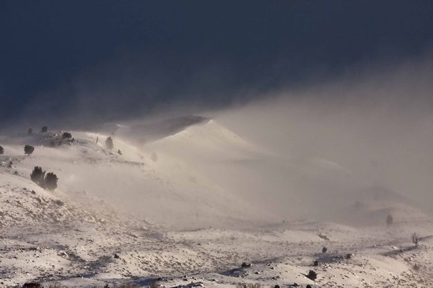 Nasty Wind. Photo by Dave Bell.