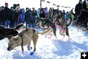 They're off!. Photo by Mari Muzzi, Sublette Examiner.