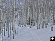 Groomed Nordic Ski Trail. Photo by Scott Almdale.