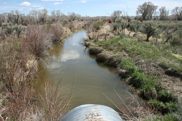 Needs a bridge. Photo by Dawn Ballou, Pinedale Online.