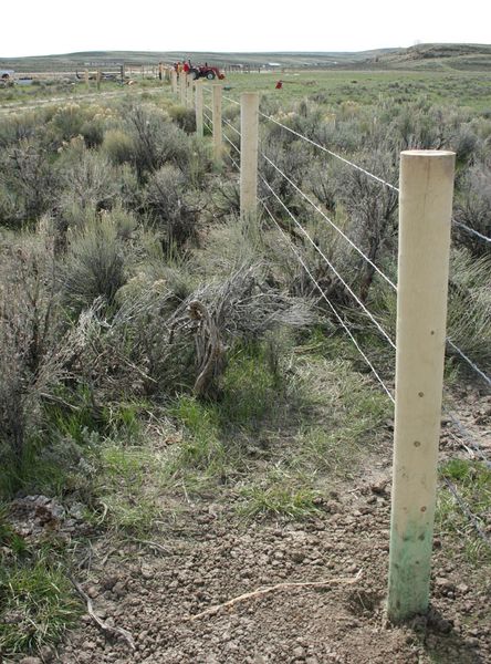 New fence. Photo by Dawn Ballou, Pinedale Online.