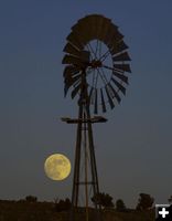 Rising Moon. Photo by Dave Bell.