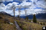 Upper Green Scenery. Photo by Dave Bell.