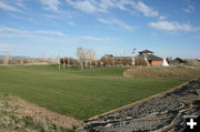 Green grass. Photo by Dawn Ballou, Pinedale Online.