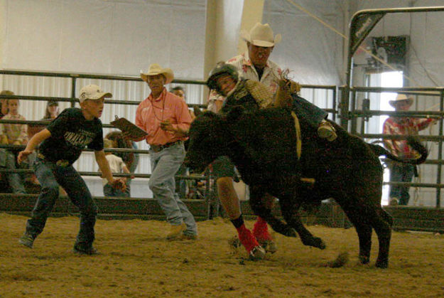 Chance Stevie - Calf Riding. Photo by Dawn Ballou, Pinedale Online.