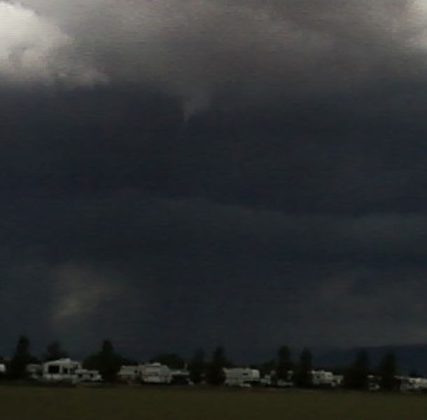 Small funnel close-up. Photo by Kathy Sandmeier.