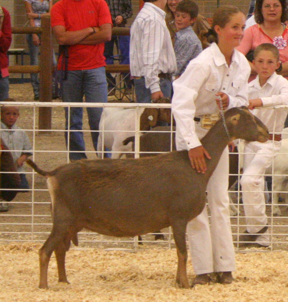 McKenna Carnahan. Photo by Clint Gilchrist, Pinedale Online.