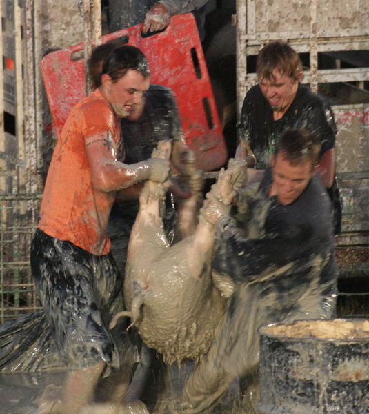 Determination. Photo by Dawn Ballou, Pinedale Online.