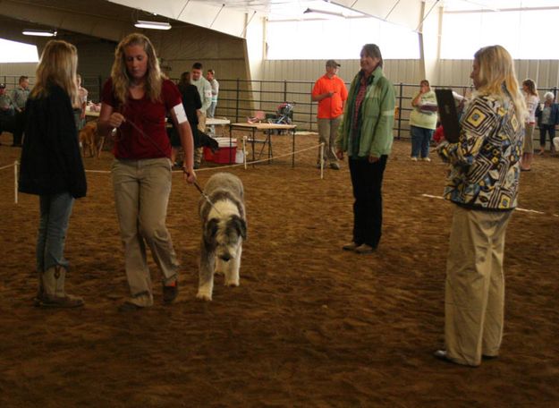 Jenny Beiermann - Dog Show. Photo by Dawn Ballou, Pinedale Online.