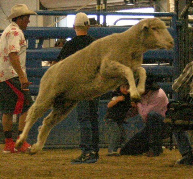 Landon Woodward. Photo by Dawn Ballou, Pinedale Online.