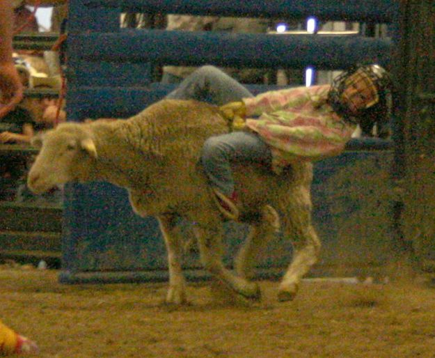 Sharianne Brower. Photo by Dawn Ballou, Pinedale Online.